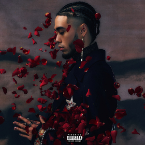 日本毛茸茸性爱视频
