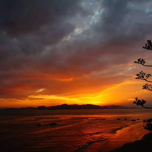 日本毛茸茸性爱视频
